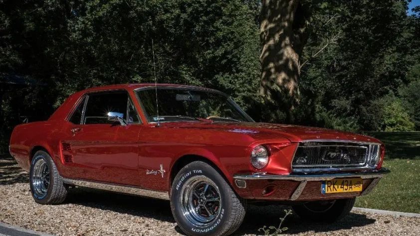 undefined Mustang