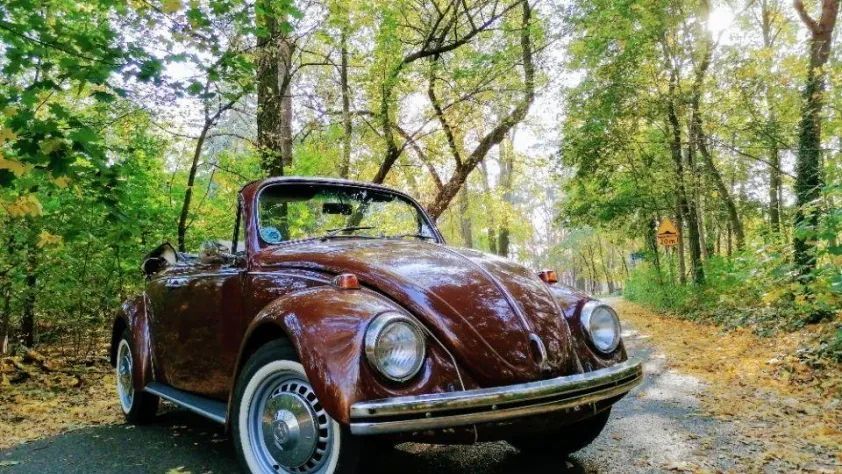 undefined Garbus Cabrio