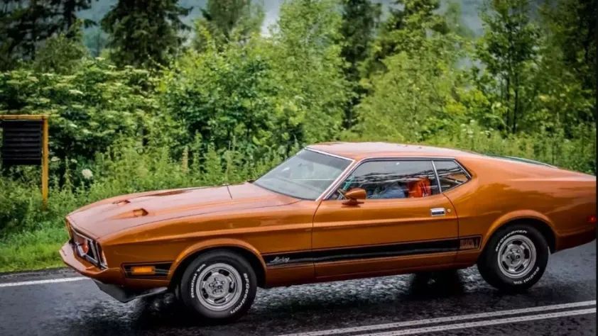 undefined Mustang Mach 1