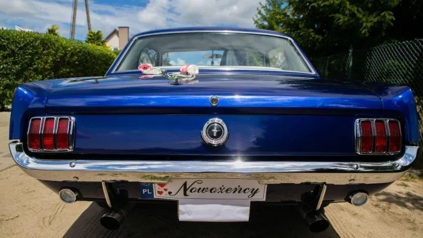 undefined Mustang