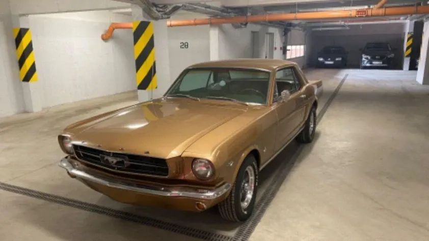 undefined Mustang