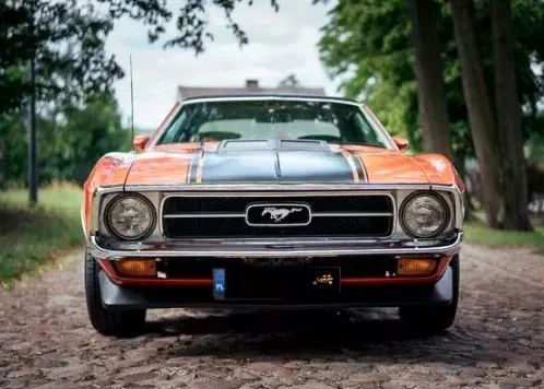 undefined Mustang Grande