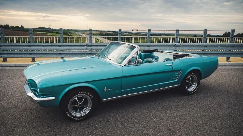 undefined Mustang