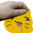 :apetthexblobcatfrustration: