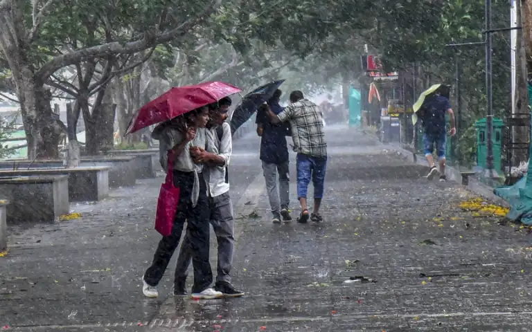 Monsoon is seen growing stronger and the upcoming rainfall will provide much-needed relief to the central, western, and northern regions in the next few days. (PTI)