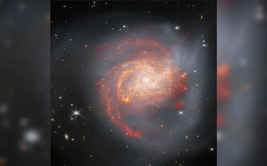 NGC 3256 is a spiral galaxy that resembles a rose, as per NASA. (ESA/Webb/NASA/CSA/L. Armus/A. Evans)
