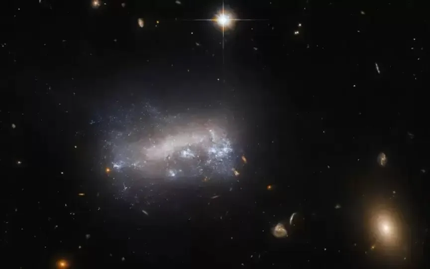 NASA and ESA-run Hubble Space Telescope's keen eye reveals LEDA 42160, a dwarf galaxy navigating the cosmic currents of ram pressure in the Virgo cluster. (ESA/Hubble & NASA, M. Sun)