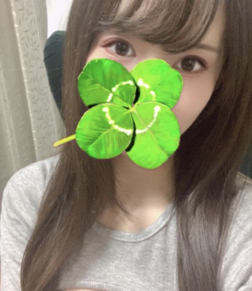 ステイドリーム    高岡 ことり　