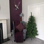 5ft/150cm New Duchess Spruce Slim Green Artificial Christmas Tree