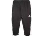 Adidas Core 18 3/4 Pants (CE9032) black/white