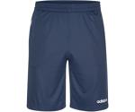 Adidas Design 2 Move Climacool 3-Stripes Shorts