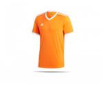 Adidas Tabela 18 Shirt short sleeve (CE171)