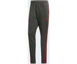 Adidas Training Pant FC Bayern Munich grey/red