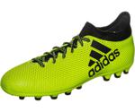 Adidas X 17.3 AG