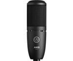 AKG P120