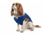 Ancol Dog Cooling Vest