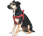 Ancol Padded Harness Red