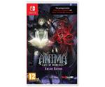 Anima: Gate of Memories - Arcane Edition (Switch)