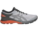 Asics Gel-Kayano 25