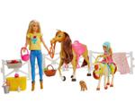 Barbie Dolls, Horses and Accessories (FXH15)
