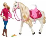 Barbie Dreamhorse and Doll (FTF02)