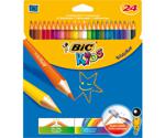 BIC 829733