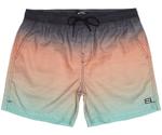 Billabong All Day Faded Layback Boardshorts