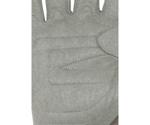 Black Diamond Crag Glove