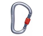 Black Diamond Rocklock Screwgate Carabiner Gray