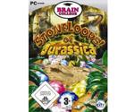 Brain College: StoneLoops of Jurassica (PC)