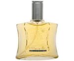 Brut Original Eau de Toilette (100ml)