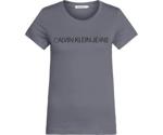 Calvin Klein Institutional Logo Slim Fit Tee (J20J213127)