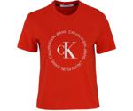 Calvin Klein Round Logo Straight T-Shirt (J20J213544)