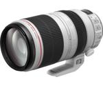 Canon EF 100-400mm f/4.5-5.6 L IS II USM