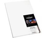 Canson Edition Etching Rag (C206211007)