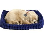 CD3 Perfect Petzzz - Golden Retriever Puppy