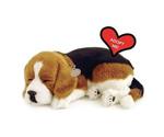 CD3 Perfect Petzzz Sleeping and Breathing Beagle Pup