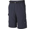 Columbia Silver Ridge Cargo Shorts for Men