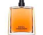 Costume National Soul Extrait de Parfum (100 ml)