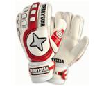 Derbystar Protect Goalkeeper Gloves