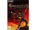 Divinity II: The Dragon Knight Saga (PC)