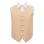 DQT Boys Solid Check Plain Wedding Tuxedo Waistcoat Champagne 26″