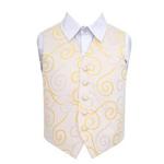 DQT New Scroll Boy's Waistcoat (3-4 Years: 24″, Gold)