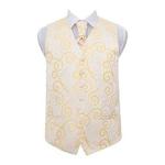 DQT New Scroll Men's Waistcoat & Cravat Set (40″, Gold)