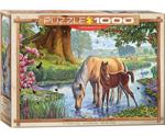 Eurographics Puzzles 6000-0976