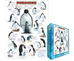 Eurographics Puzzles Penguins