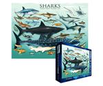 Eurographics Puzzles Sharks