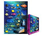 Eurographics Puzzles The Coral Reef