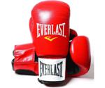 Everlast Fighter