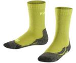 Falke TK2 (10442) lime